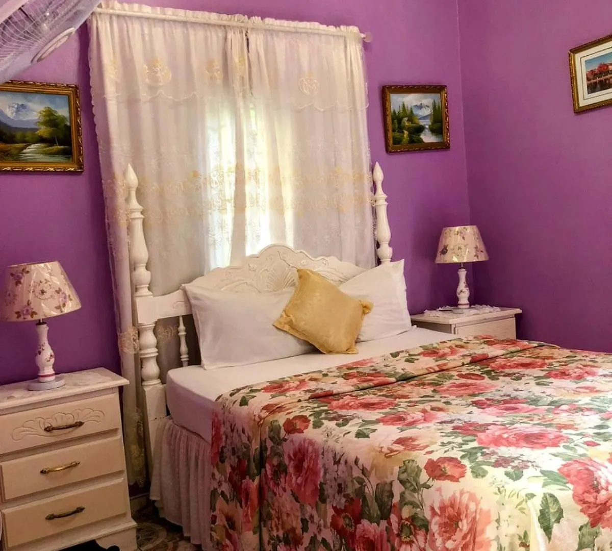 Отель 237 Bratton Avenue Бухта Монтего Ямайка