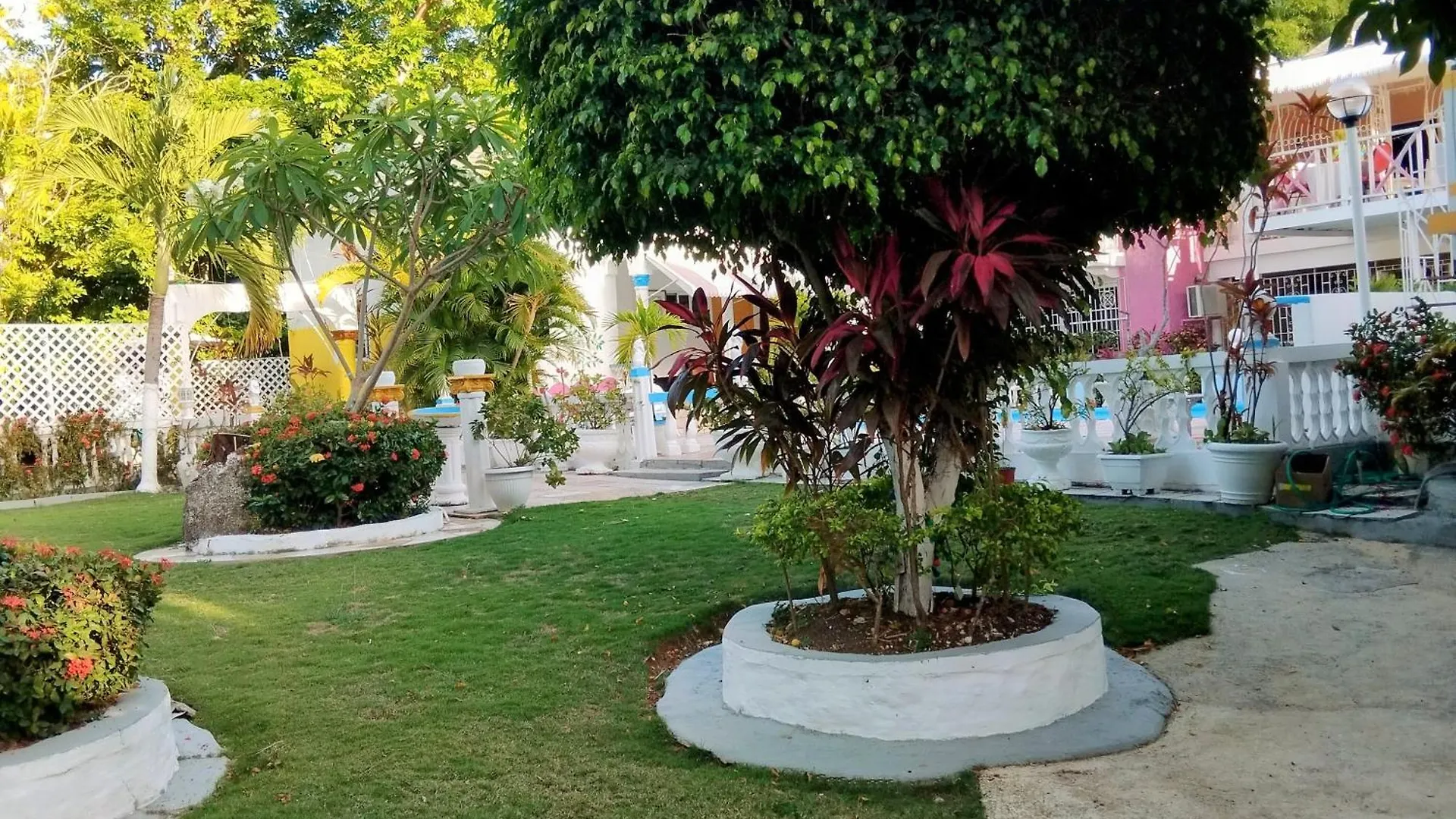 237 Bratton Avenue Hotel Montego Bay
