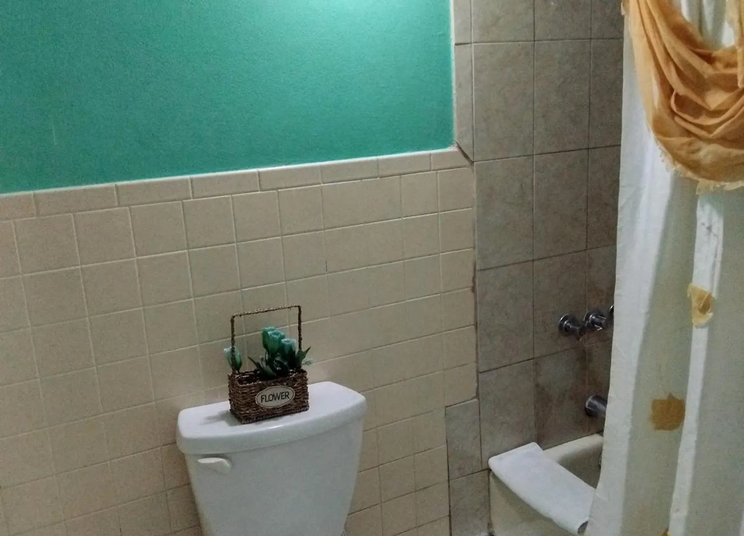 Gasthuis 237 Bratton Avenue Hotel Montego Bay