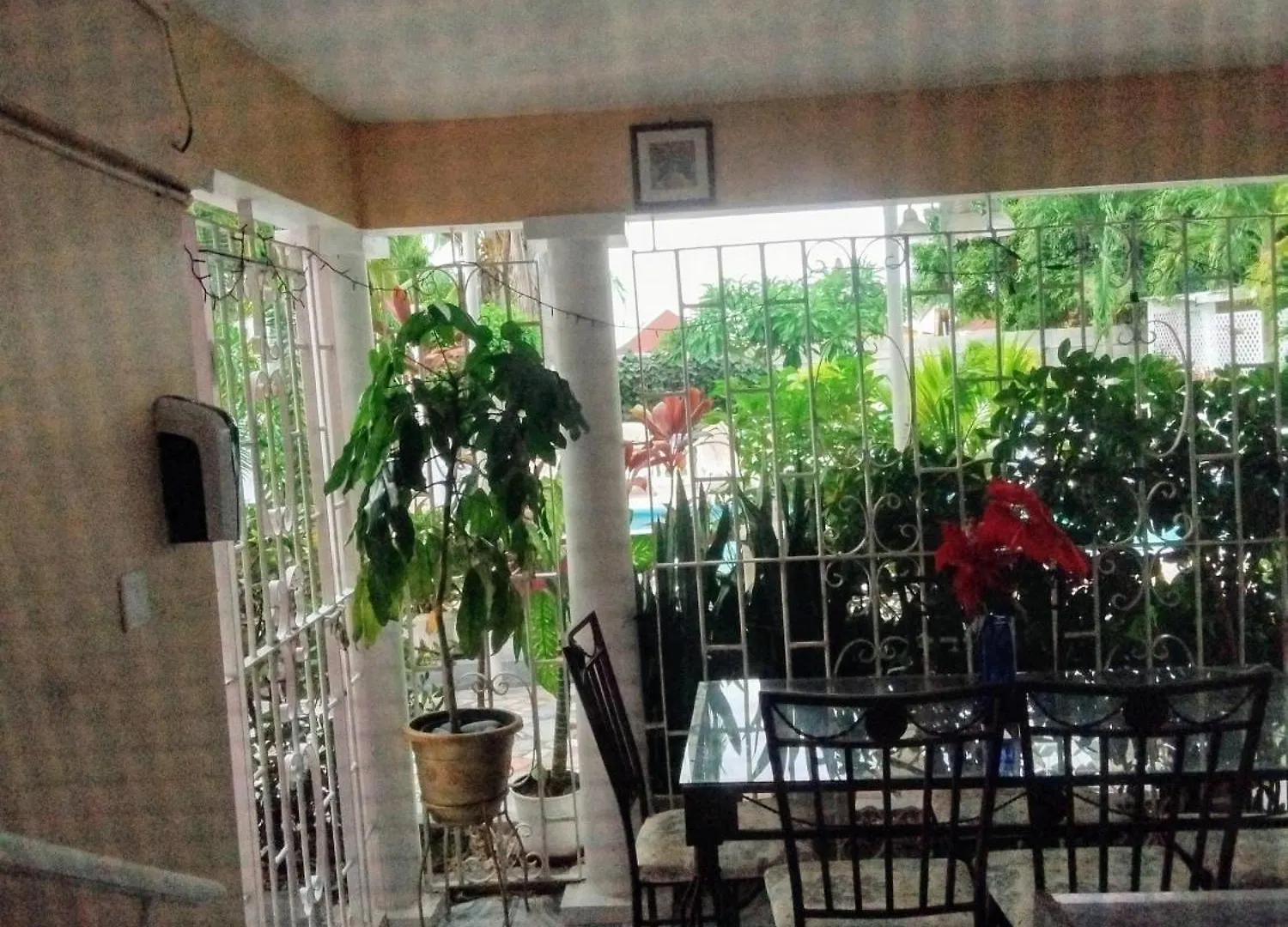 Gasthuis 237 Bratton Avenue Hotel Montego Bay Jamaica