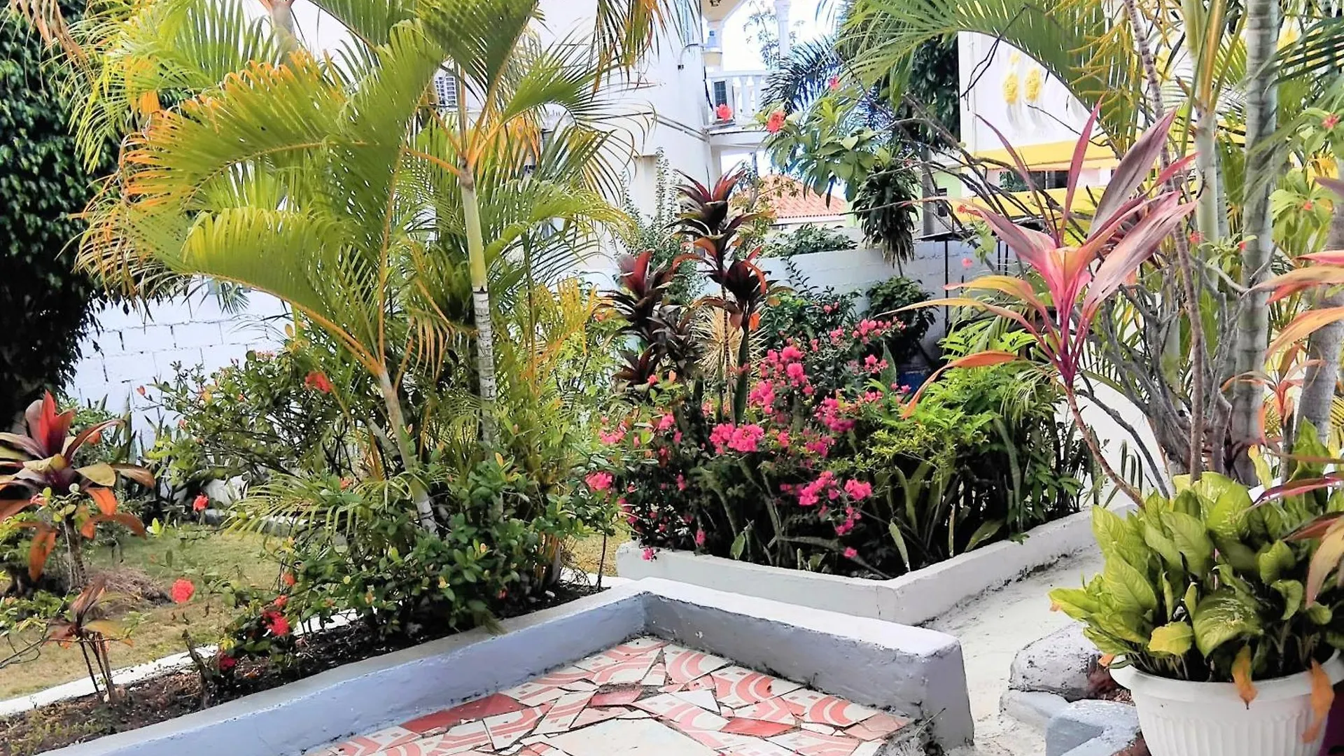 237 Bratton Avenue Ξενοδοχείο Μοντέγκο Μπέυ